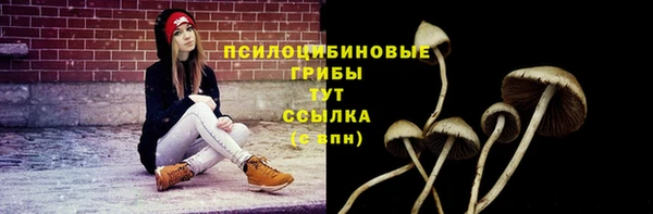 эйфоретик Кинешма