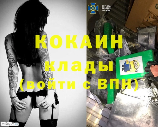 винт Касимов