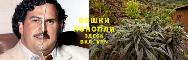 ГАЛЛЮЦИНОГЕННЫЕ ГРИБЫ Киреевск