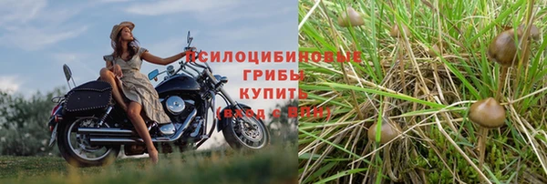 ГАЛЛЮЦИНОГЕННЫЕ ГРИБЫ Киреевск