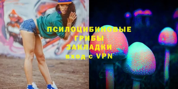 мяу мяу мука Каменногорск