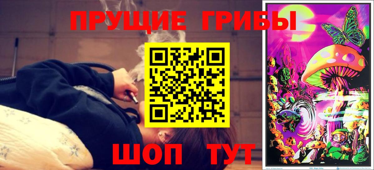 Касимов  закладка  Вход с VPN  Псилоцибиновые грибы MAGIC MUSHROOMS 