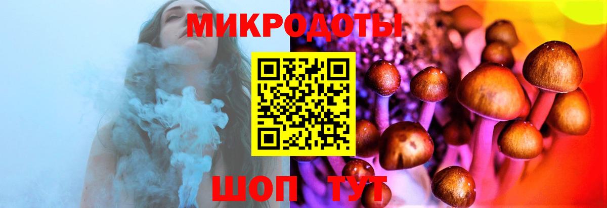 Галлюциногенные грибы Cubensis Касимов